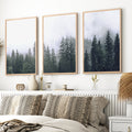 Green Pine Tree Forest – Foggy Nature Wall Art Prints