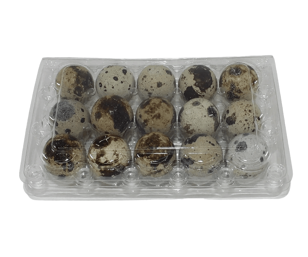 15-cell Jumbo Quail Egg Cartons (3x5)