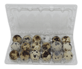 18-cell Jumbo Quail Egg Cartons (3x6)