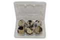 6-cell Jumbo Quail Egg Cartons (2x3)