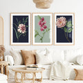 Retro Botanical Prints Pink Flower Art Set of 3