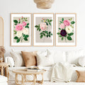 Vintage Botanical Paintings Rose Floral Art Set of 3